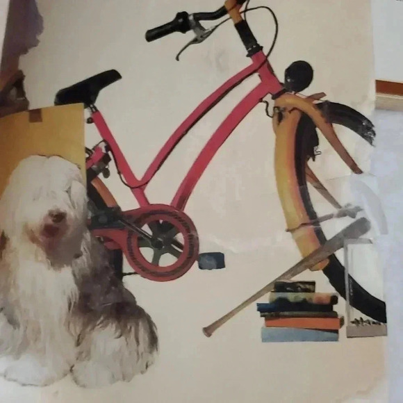 Books! - Picture 4 of 17